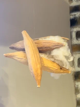 post.alt